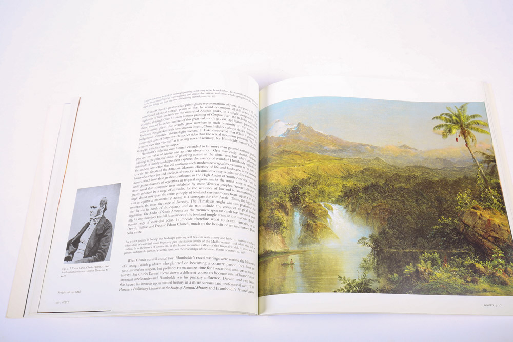 Collection of Art Books and Exhibition Catalogs