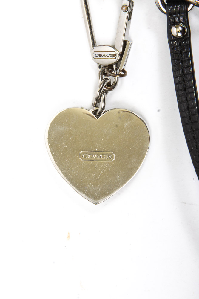 Collection of Coach Handbags and Accessories