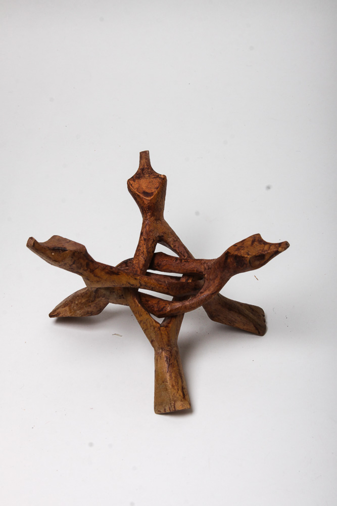 Nautical Seashell Collection