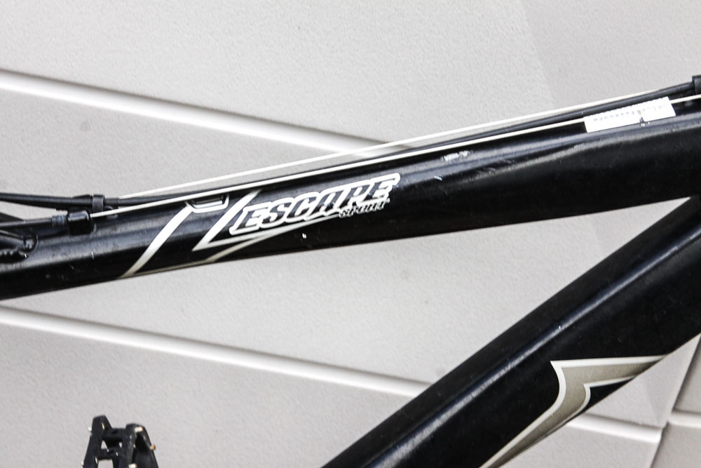 Bicycles by Raleigh & Absaroka