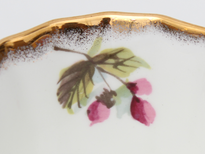 Elizabethan Bone China Teacup and Saucer