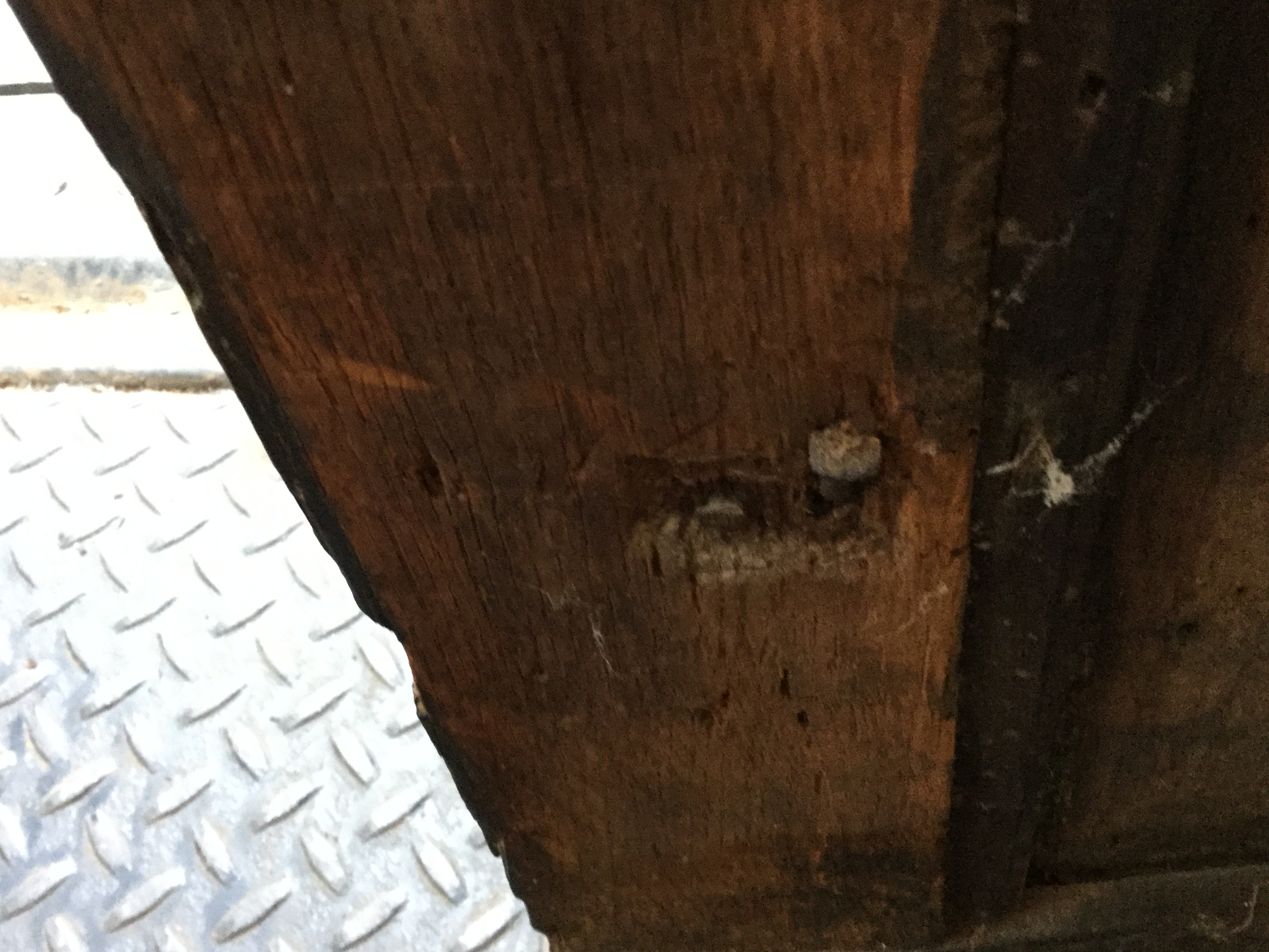 Antique William and Mary Oak Chest on Stand