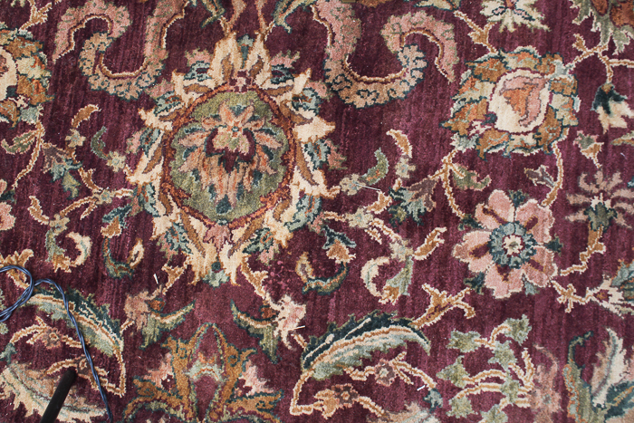 Hand-Knotted Chinese Persian-Inspired Wool Area Rug