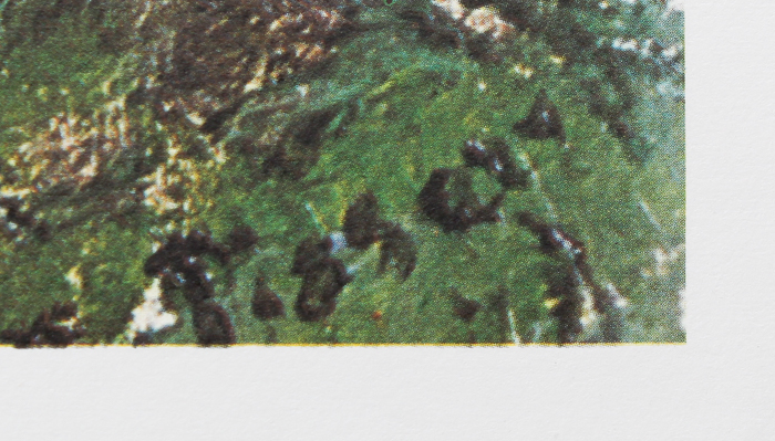 Collection of Offset Lithograph Prints on Paper