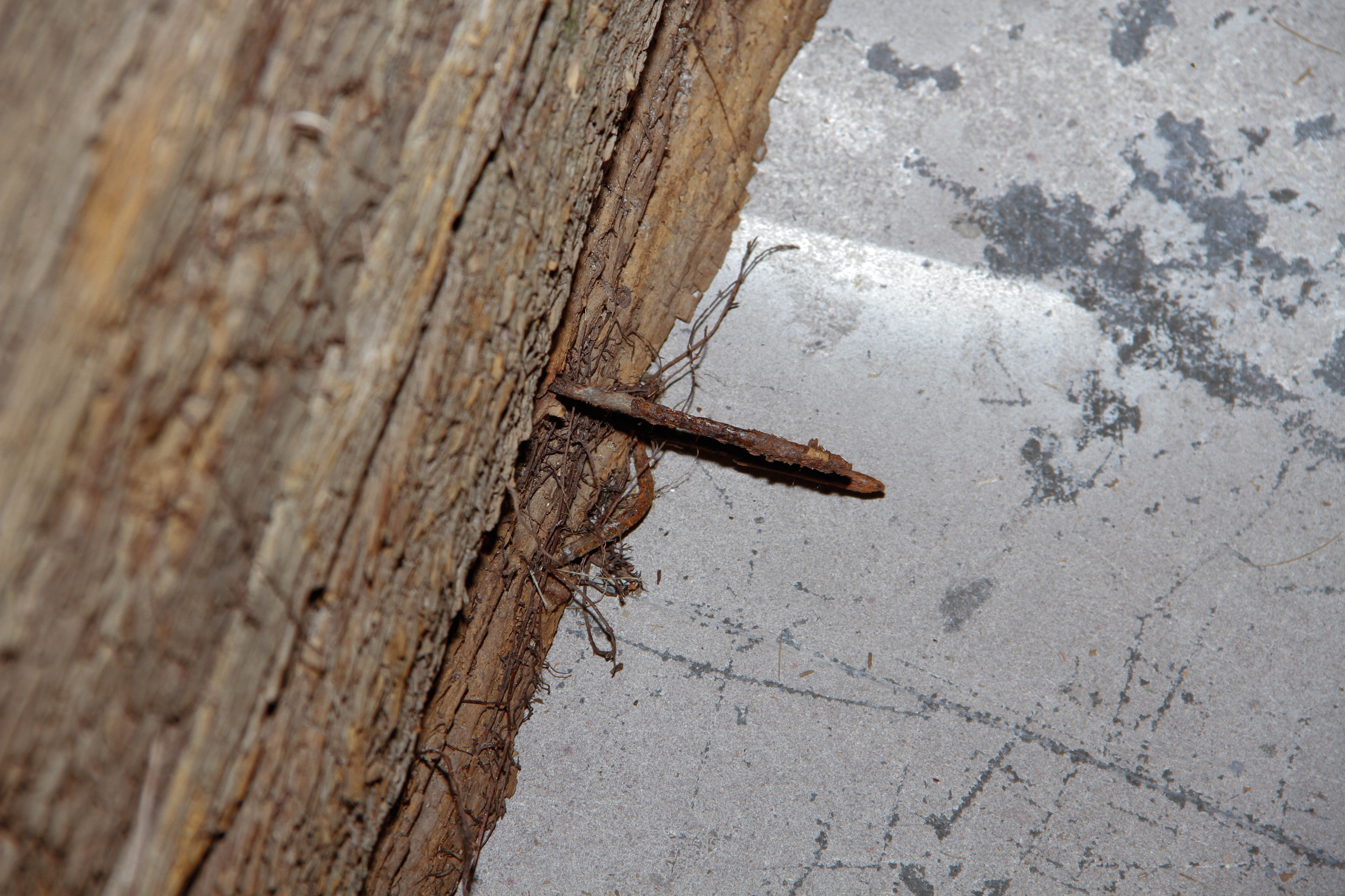 Green Wood Planter Boxes