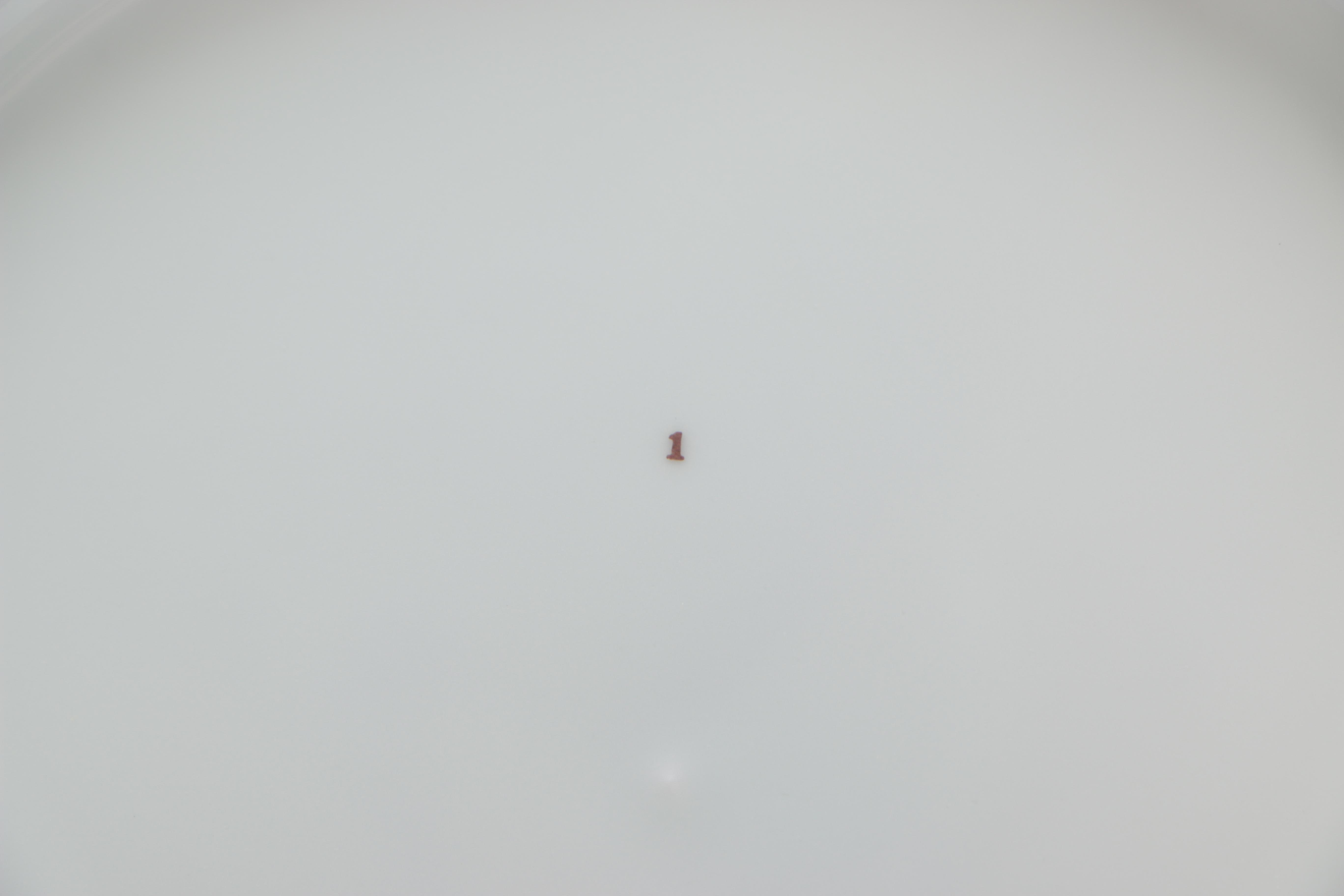 French Porcelain Dishes With Gastronomic Themes