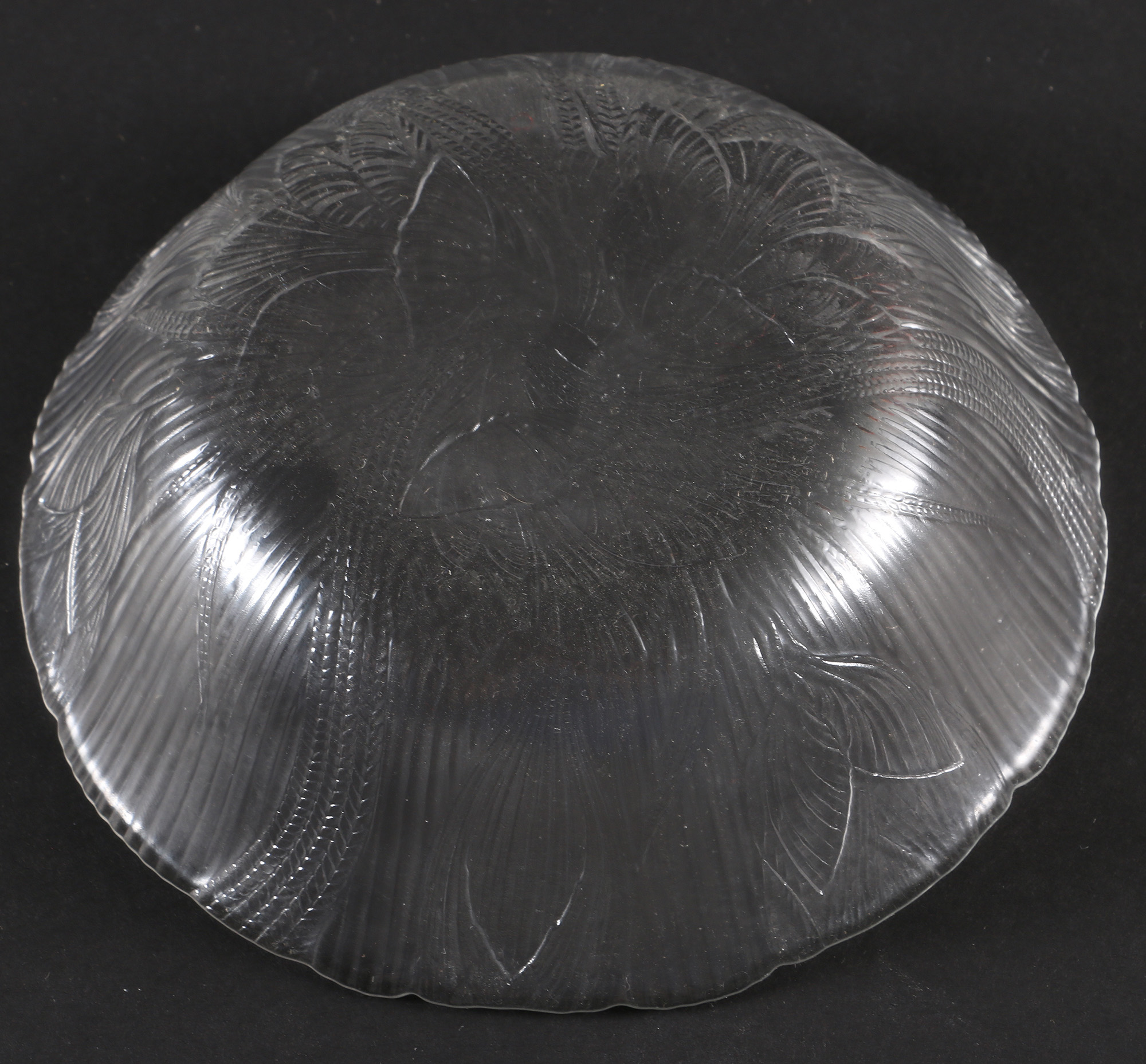 Reeded Glass Serveware