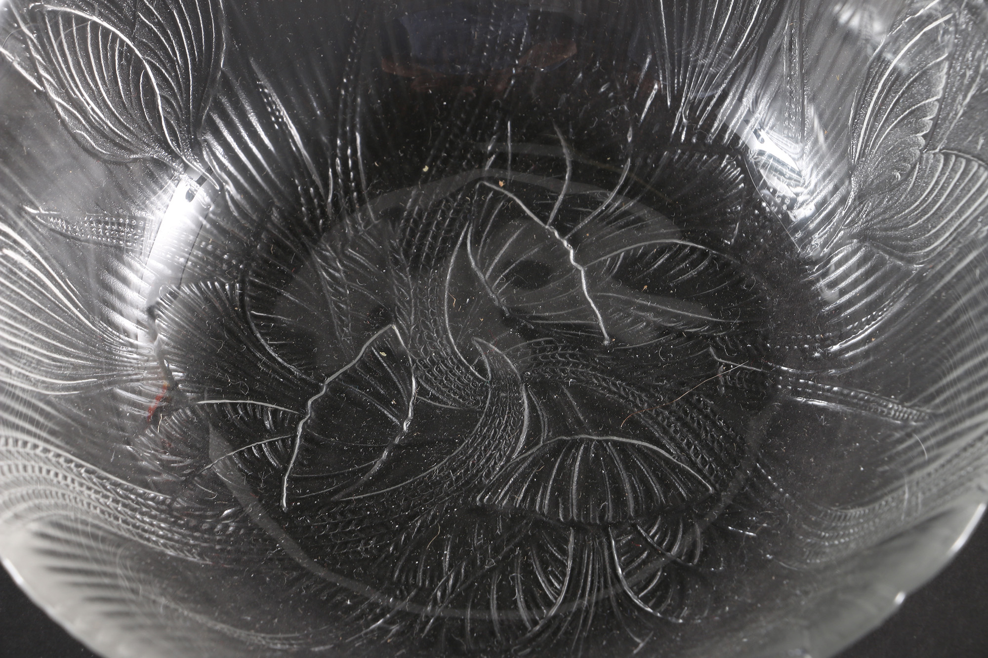 Textured Clear Glass Tableware