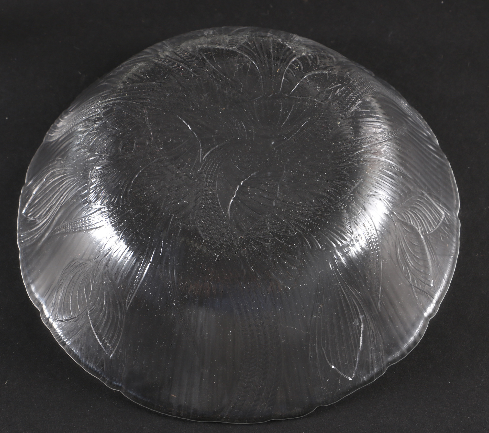 Textured Clear Glass Tableware
