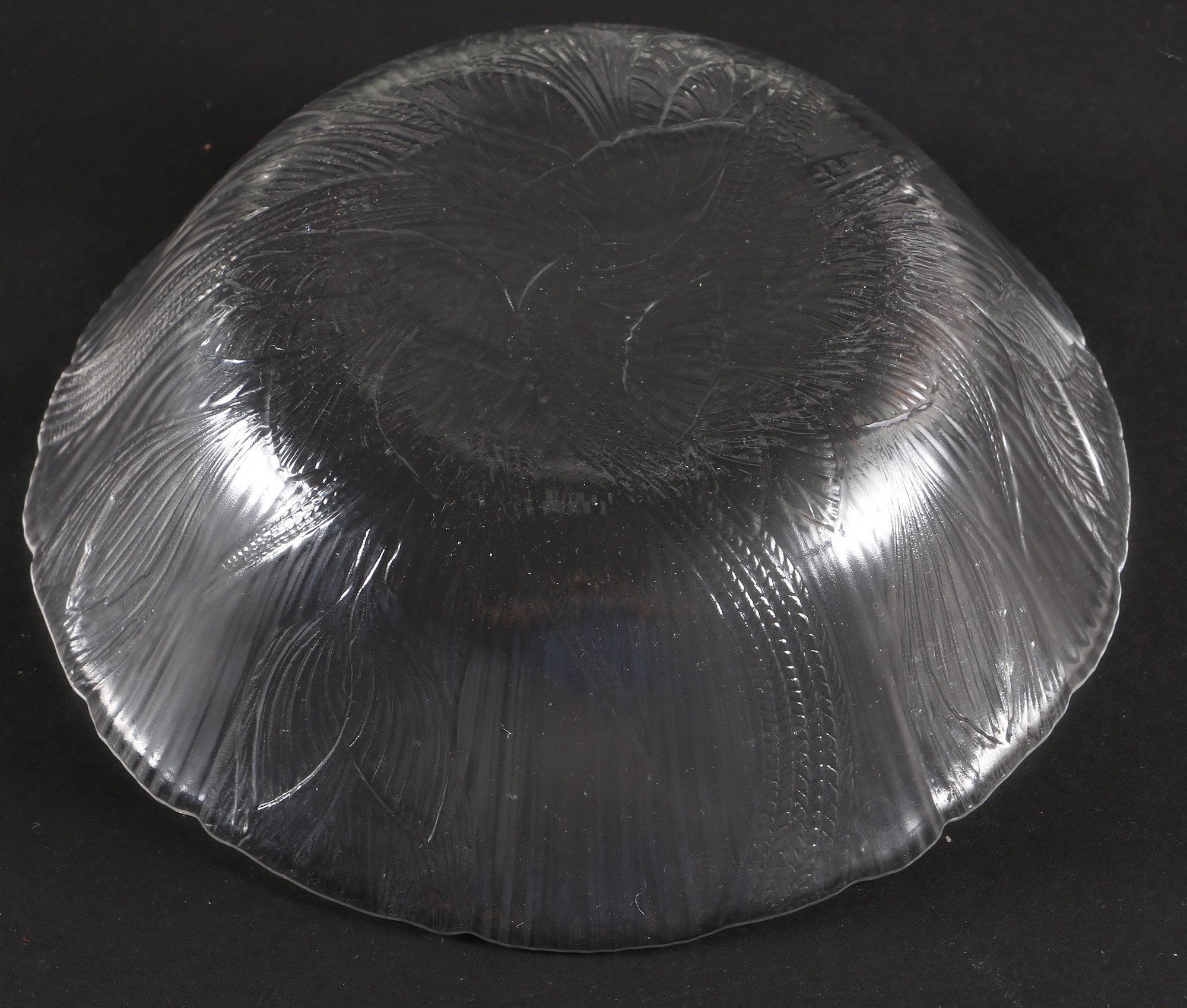 Textured Frosted Glass Serveware
