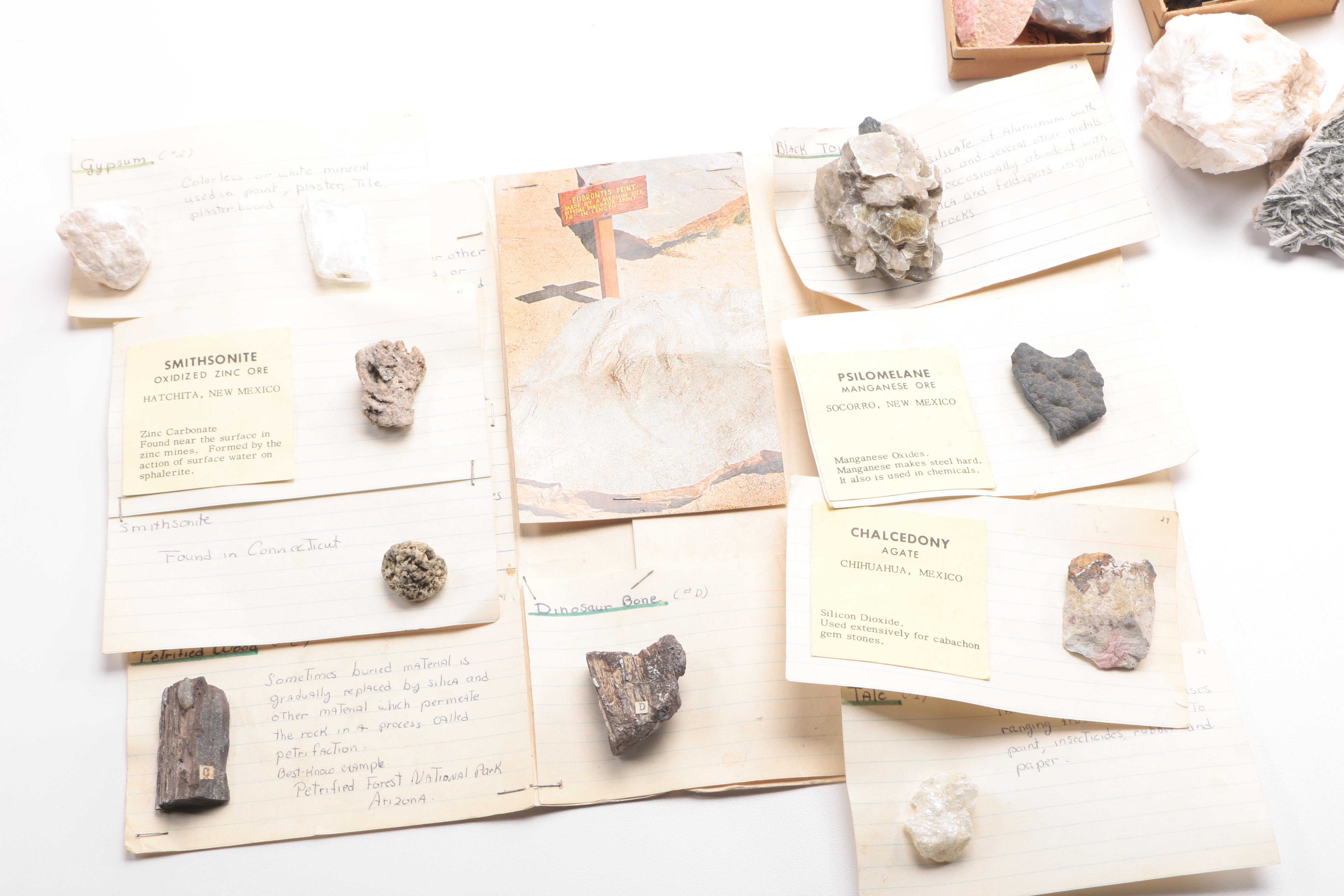 Assortment of Rocks and Minerals