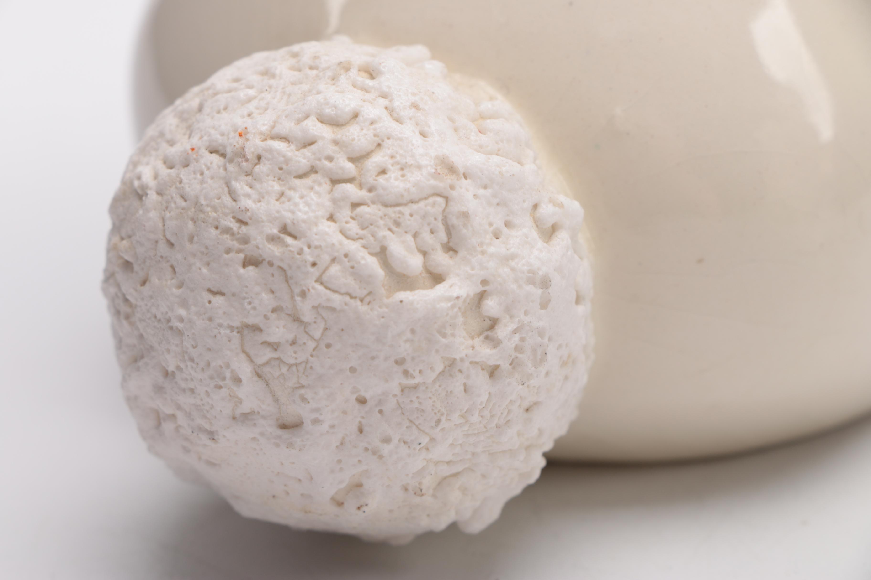 Ceramic Animal Figurines