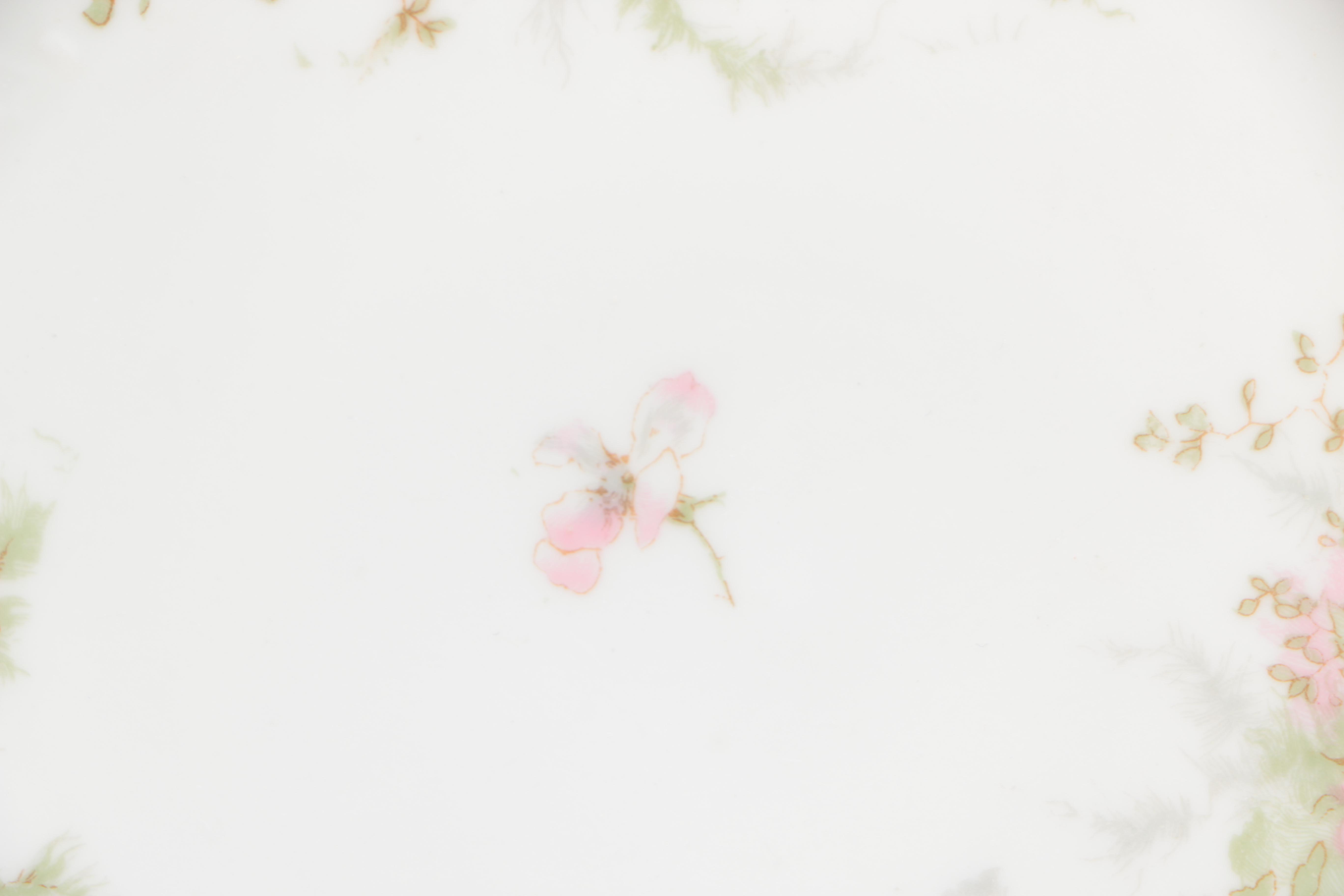 Theodore Haviland "Apple Blossom" Tableware