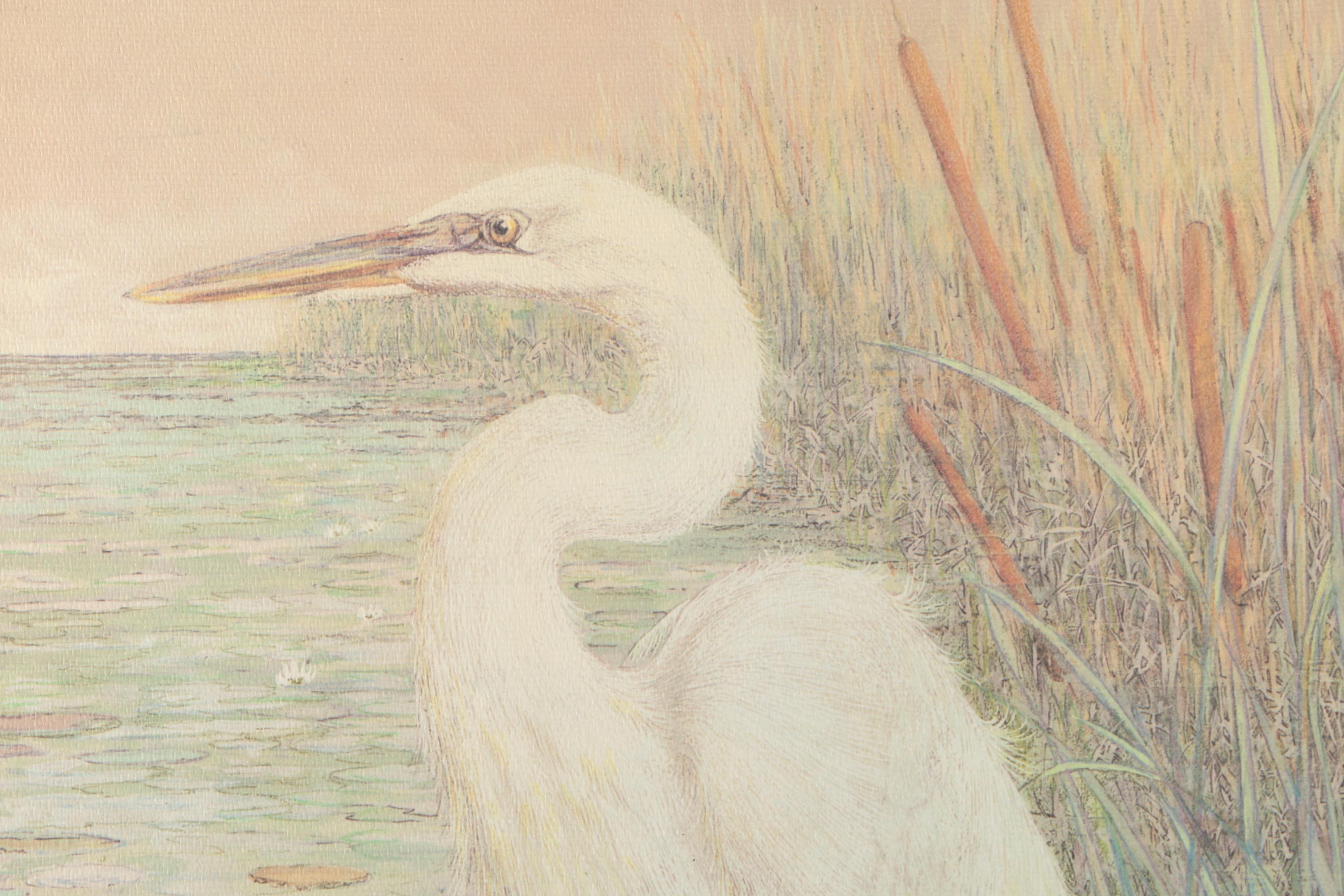 Diane Christopher Offset Lithograph "Great White Heron"
