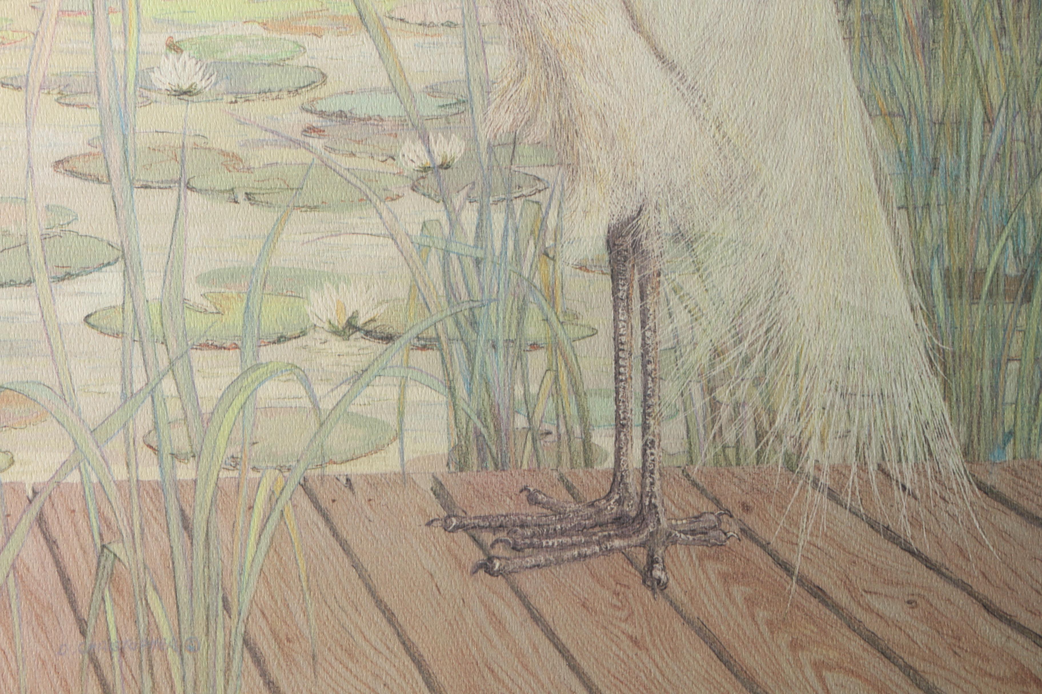 Diane Christopher Offset Lithograph "Great White Heron"