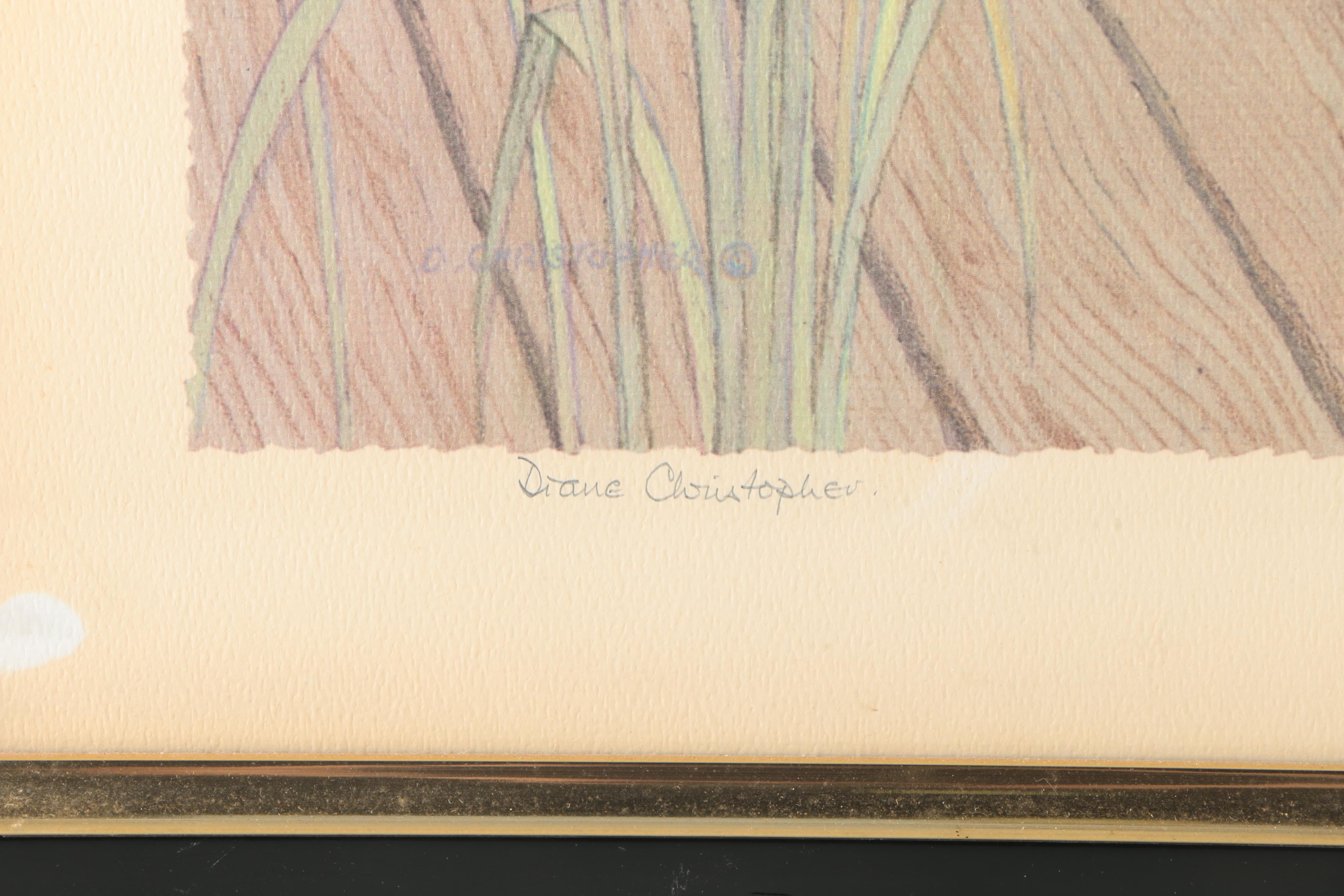 Diane Christopher Offset Lithograph "Great White Heron"