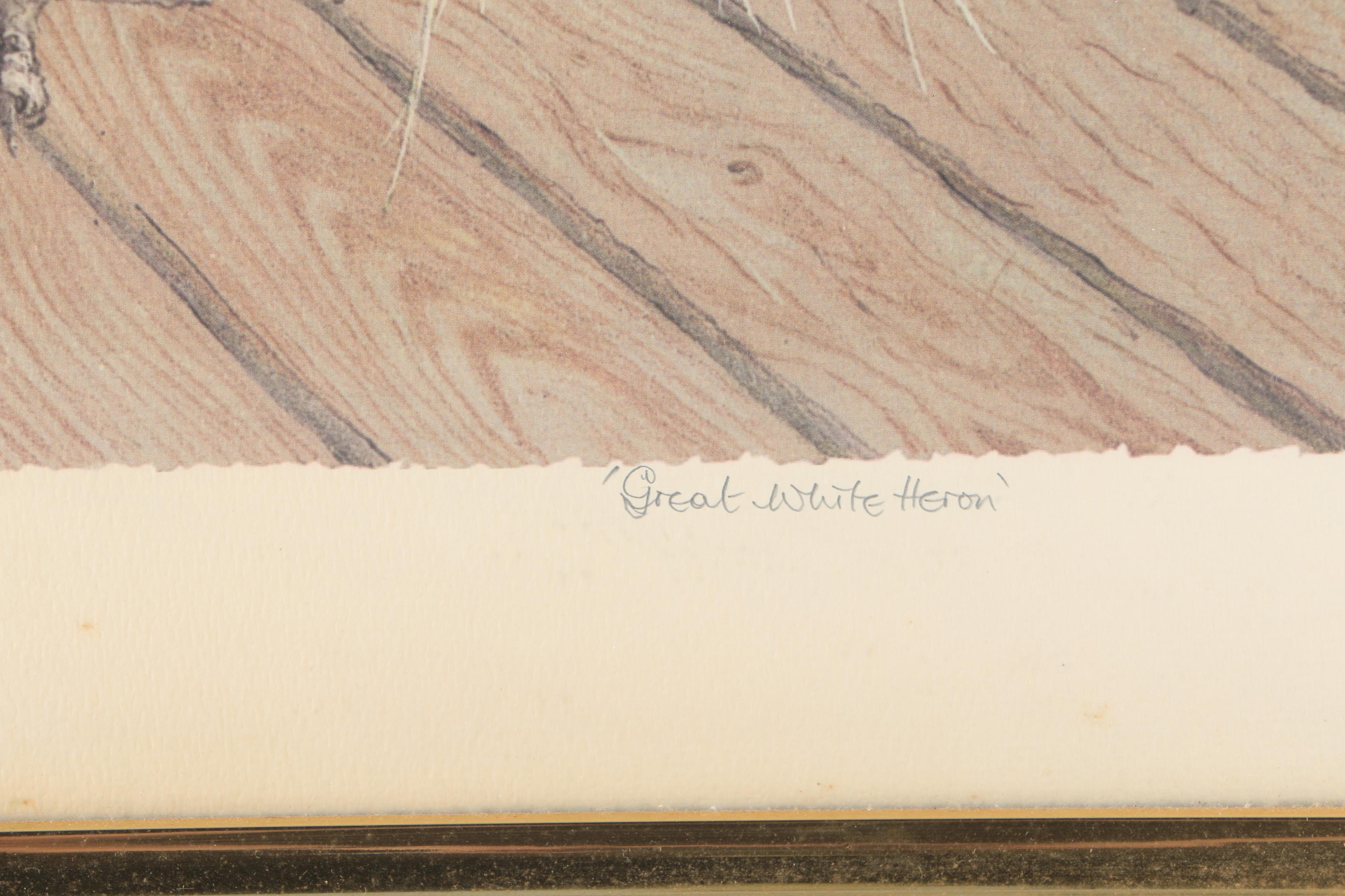 Diane Christopher Offset Lithograph "Great White Heron"