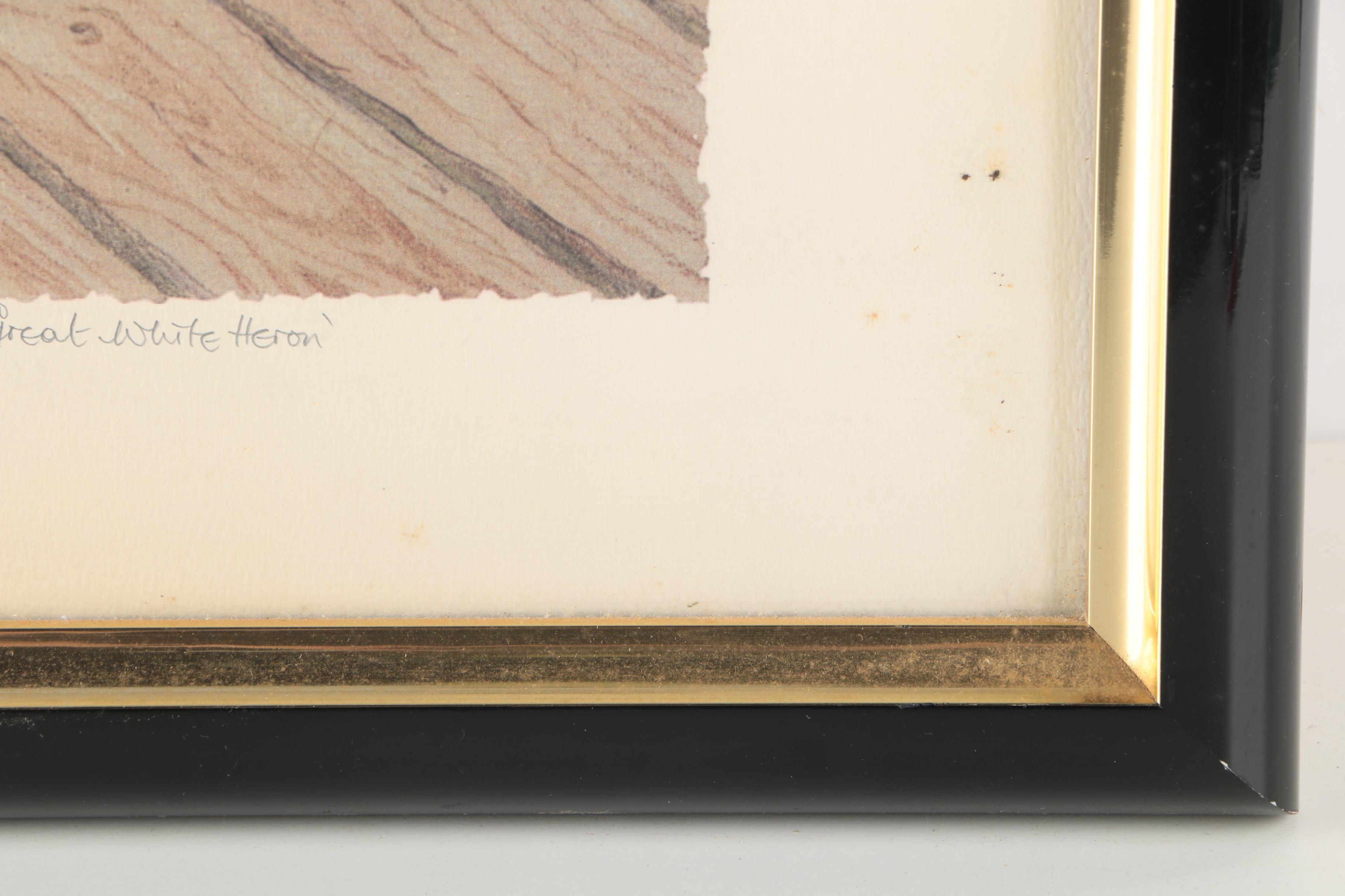 Diane Christopher Offset Lithograph "Great White Heron"