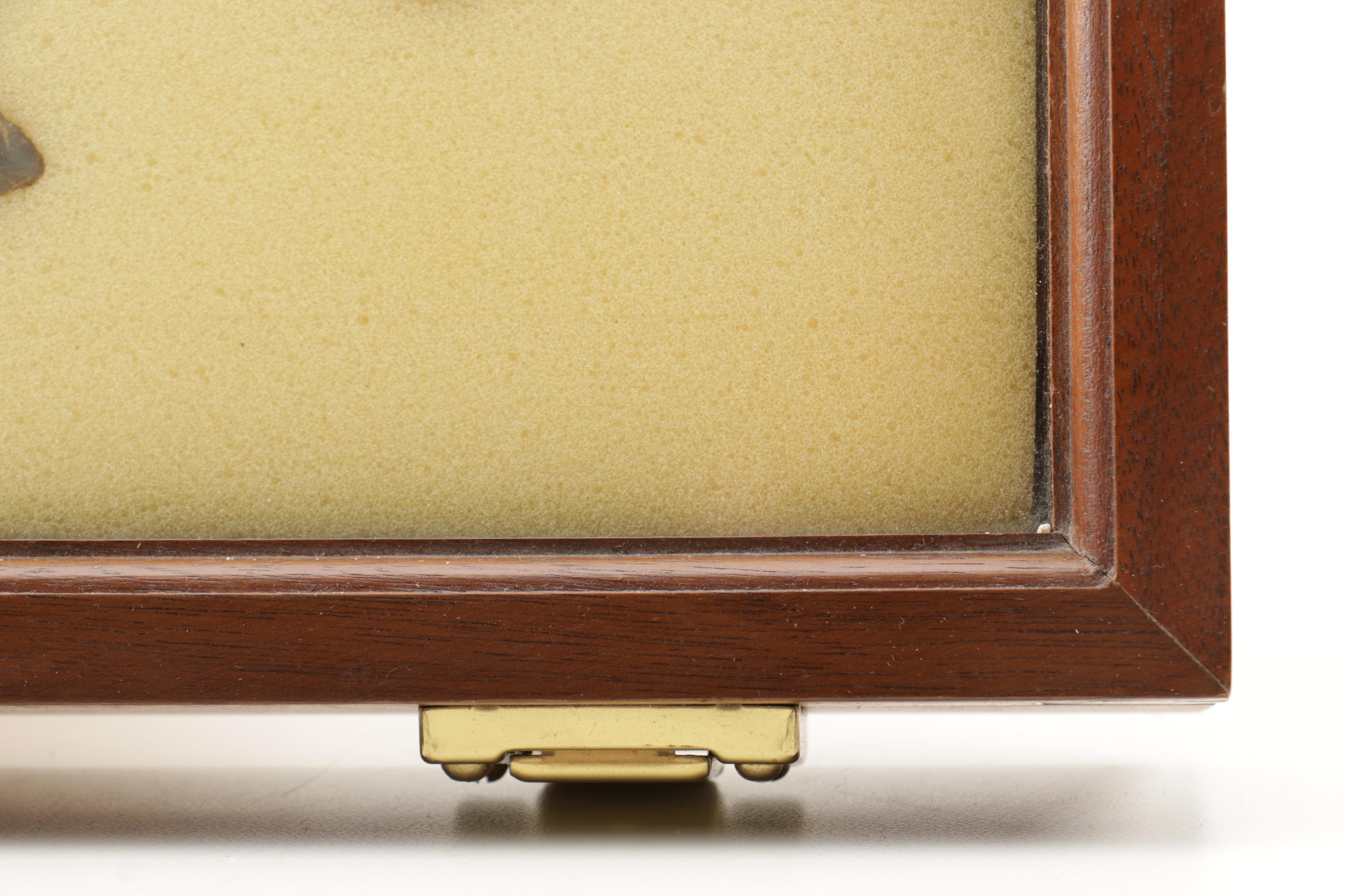 Stone Arrow Head In Display Case