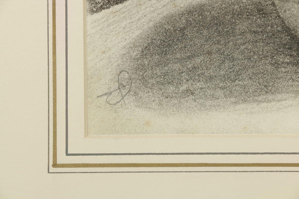 19th Century Charcoal Drawing on Paper "Pitcher"