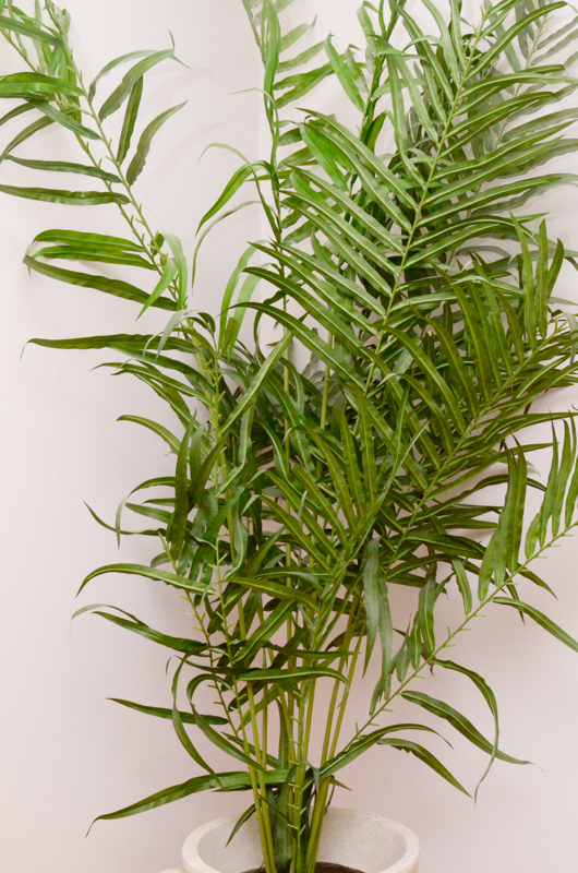 Oversize Indoor Faux Bamboo Tree in Ceramic Planter