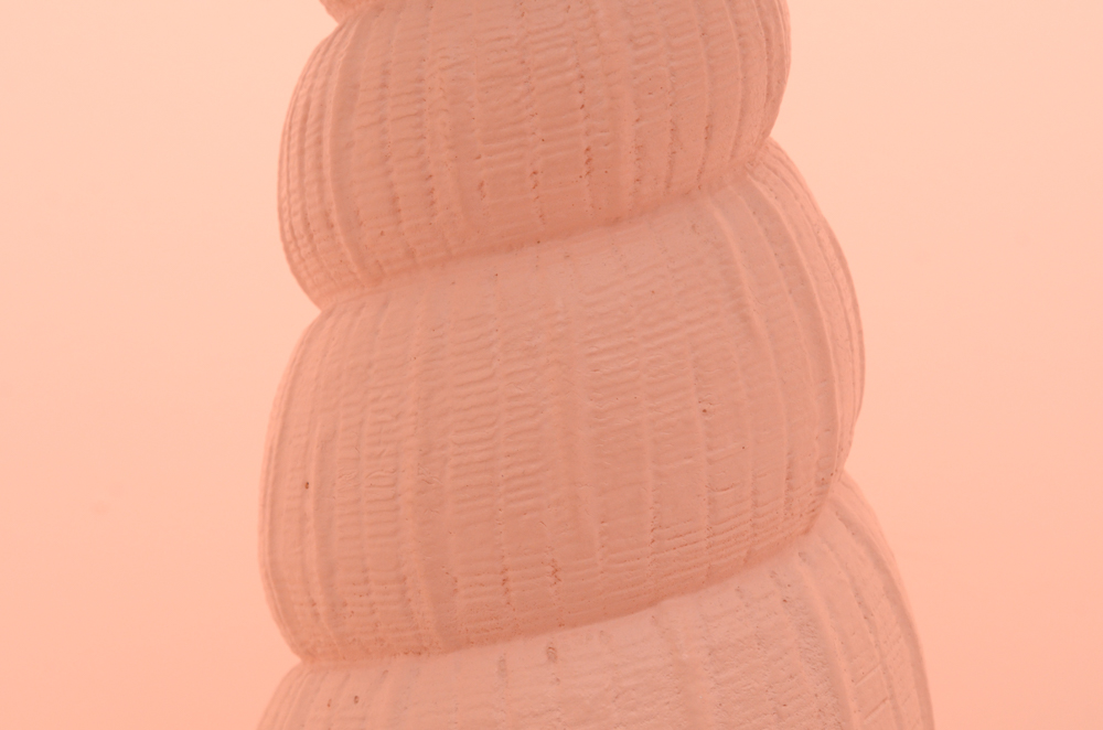 Pastel Pink Shell Table Lamp