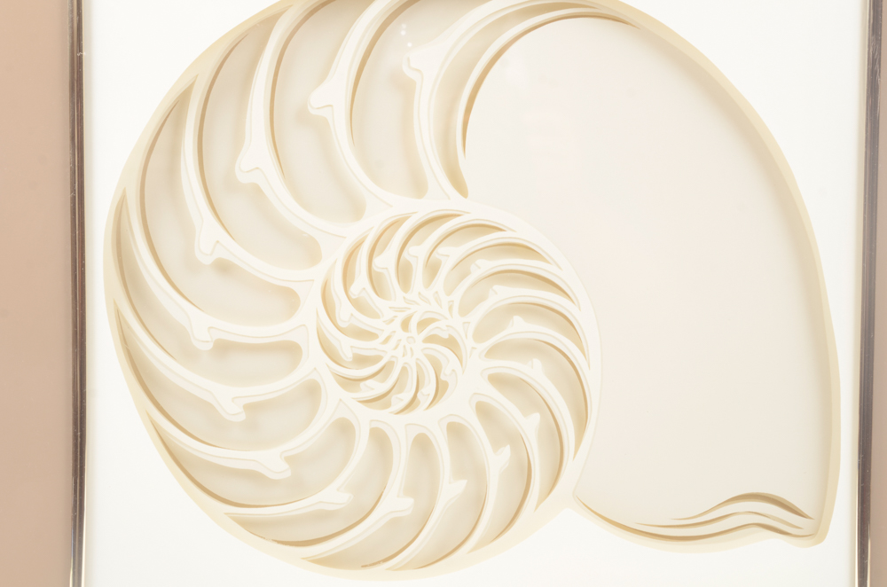 Rebecca M. Miller Cut Paper Nautilus Shell