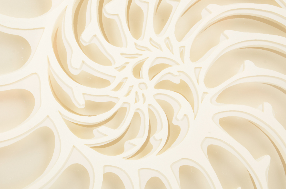 Rebecca M. Miller Cut Paper Nautilus Shell