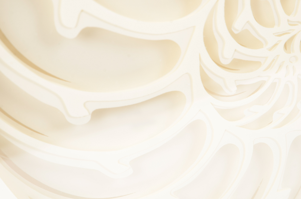 Rebecca M. Miller Cut Paper Nautilus Shell