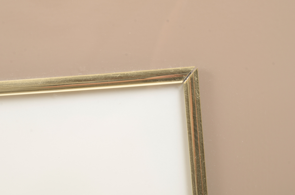 Rebecca M. Miller Cut Paper Conch Shell