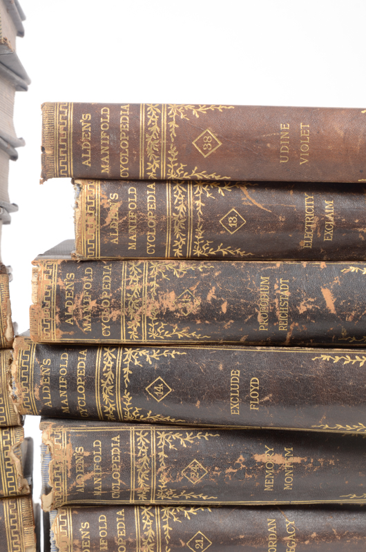 Twenty-Two Volumes of "Alden's Manifold Cyclopedia of Knowledge and Language"