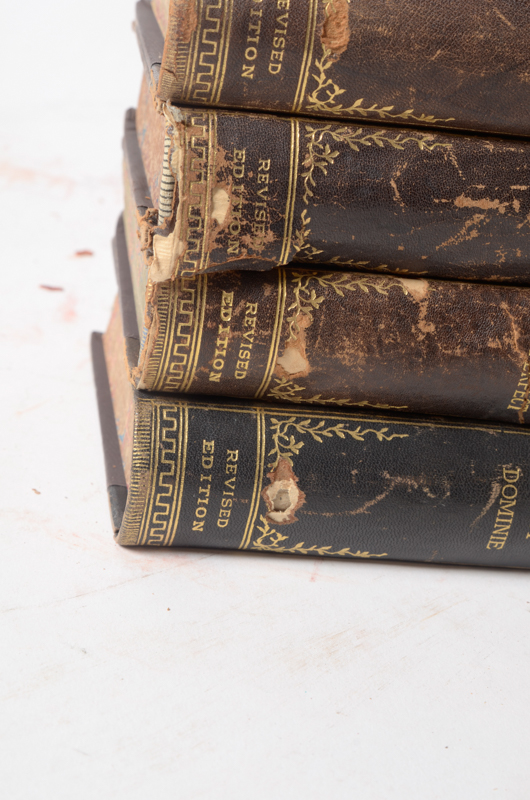 Twenty-Two Volumes of "Alden's Manifold Cyclopedia of Knowledge and Language"