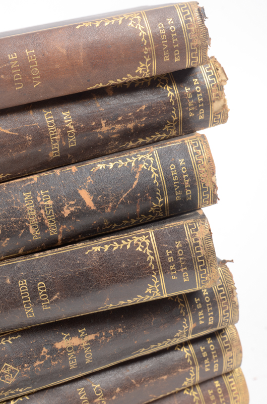 Twenty-Two Volumes of "Alden's Manifold Cyclopedia of Knowledge and Language"