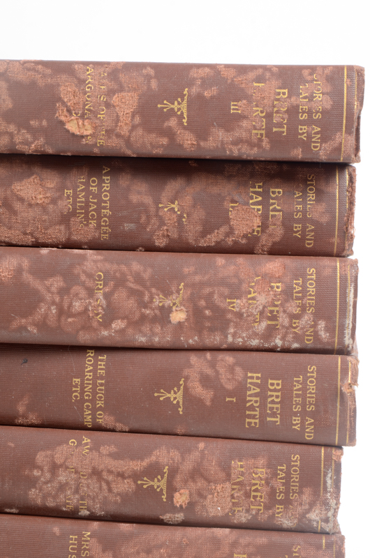 Early 20th Century Collection of Works by Bret Harte and William Makepeace Thackeray