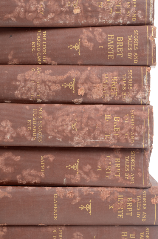 Early 20th Century Collection of Works by Bret Harte and William Makepeace Thackeray