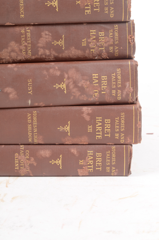 Early 20th Century Collection of Works by Bret Harte and William Makepeace Thackeray
