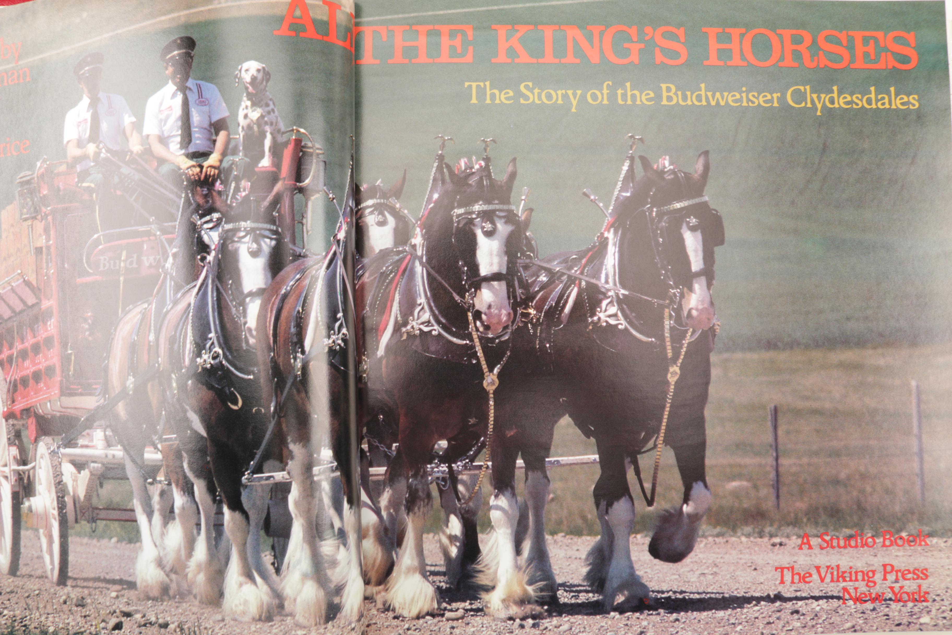 Books Including Autobiographies and Left-Handedness