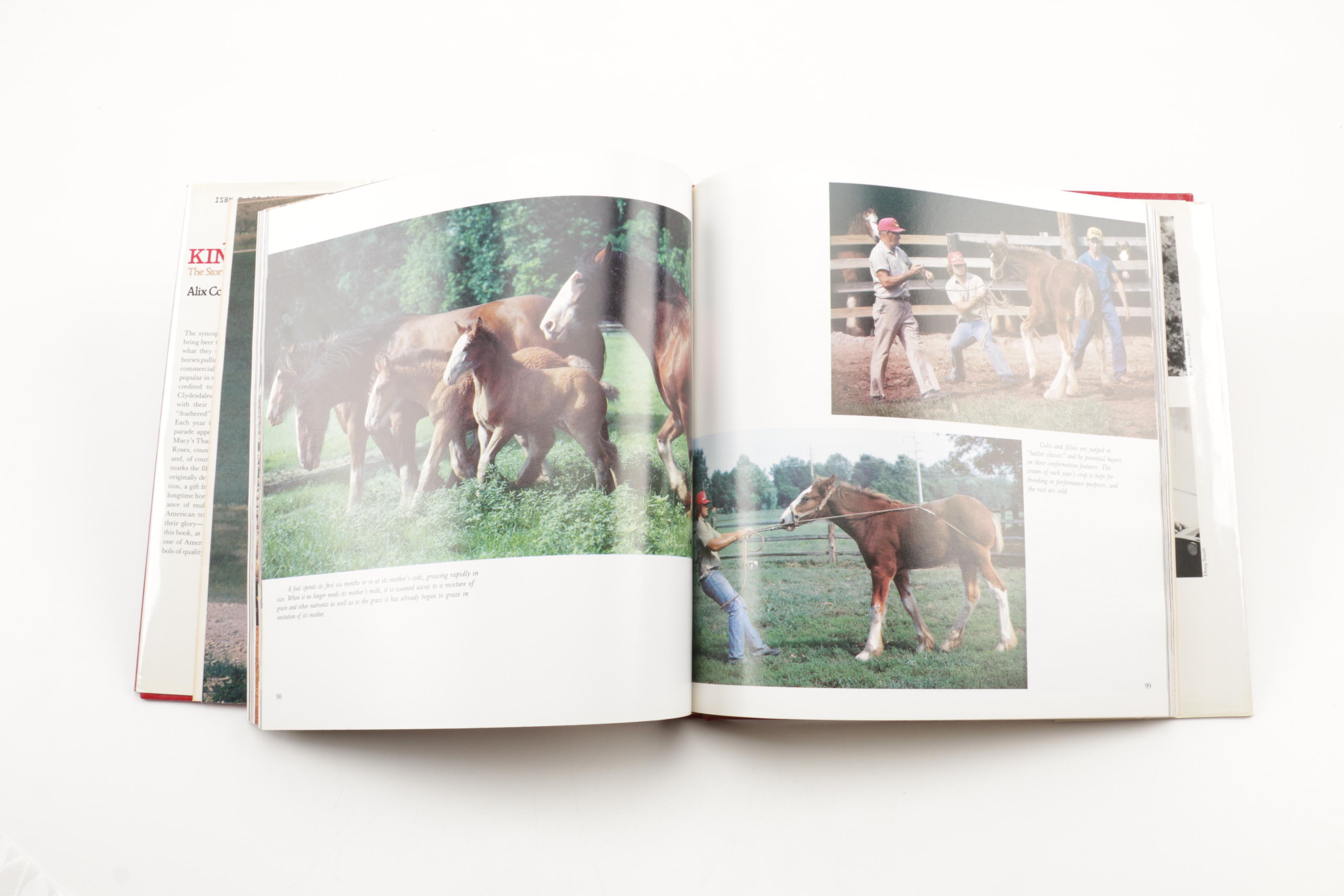 Books Including Autobiographies and Left-Handedness