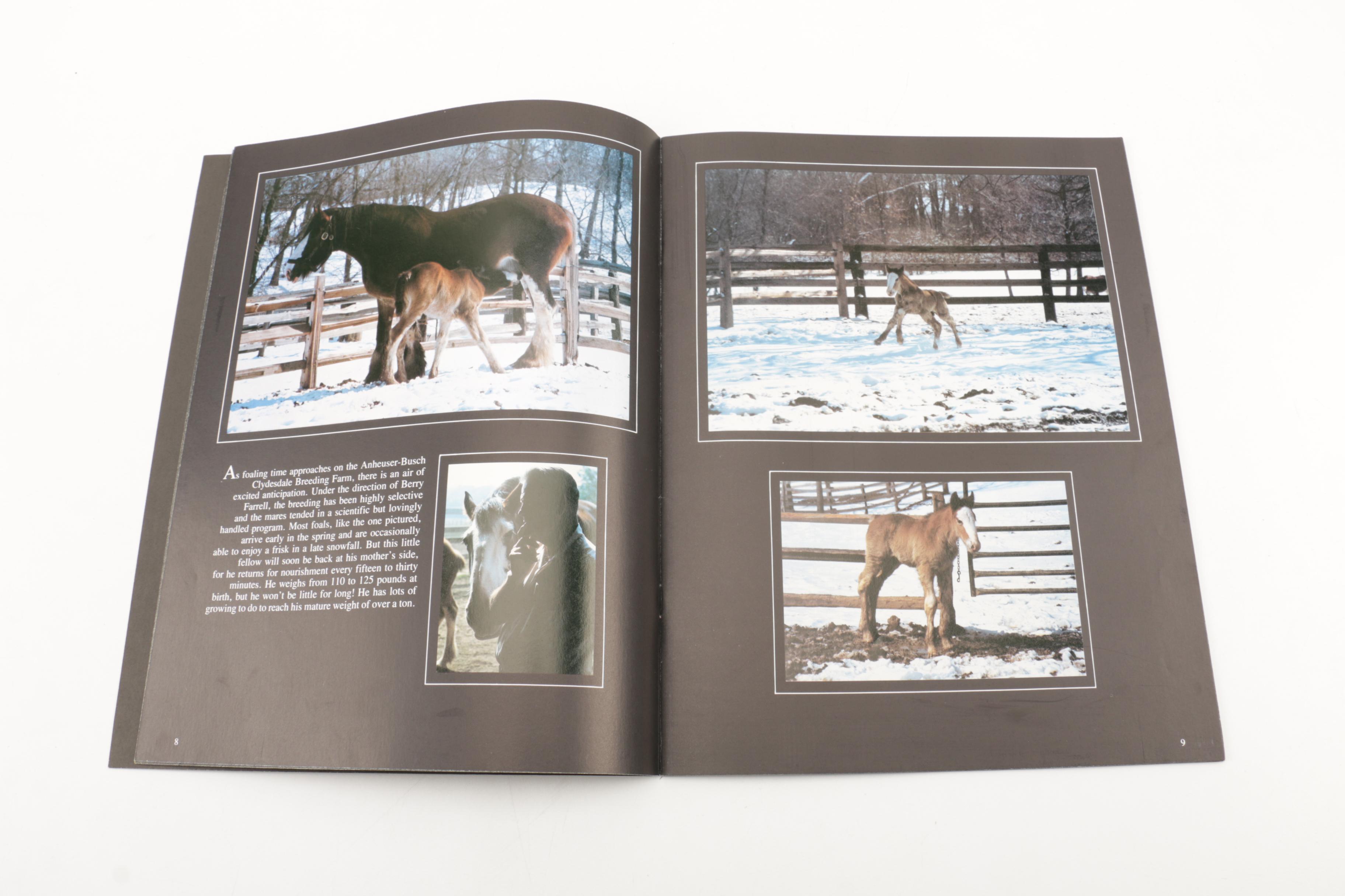 Books Including Autobiographies and Left-Handedness