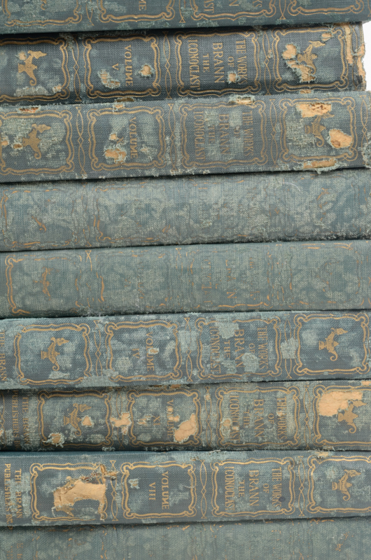 Collection of Works by John L. Stoddard, Honoré De Balzac and William Cowper Brann