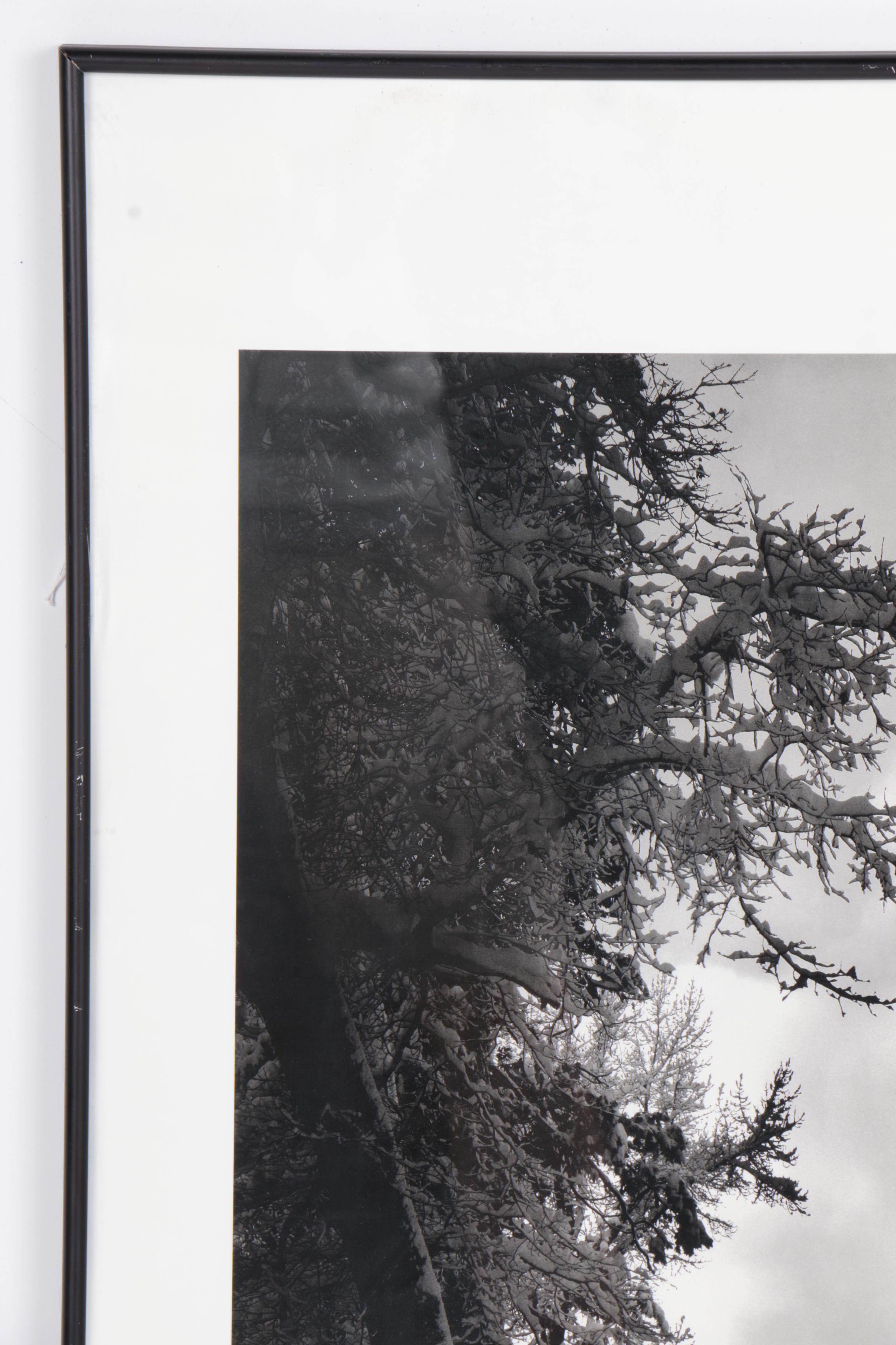 Offset Lithograph Poster After Ansel Adams "El Capitan, Winter Sunrise"