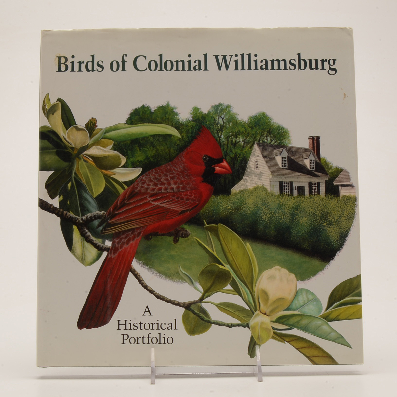 Oversized Coffee Table and Illustration Books