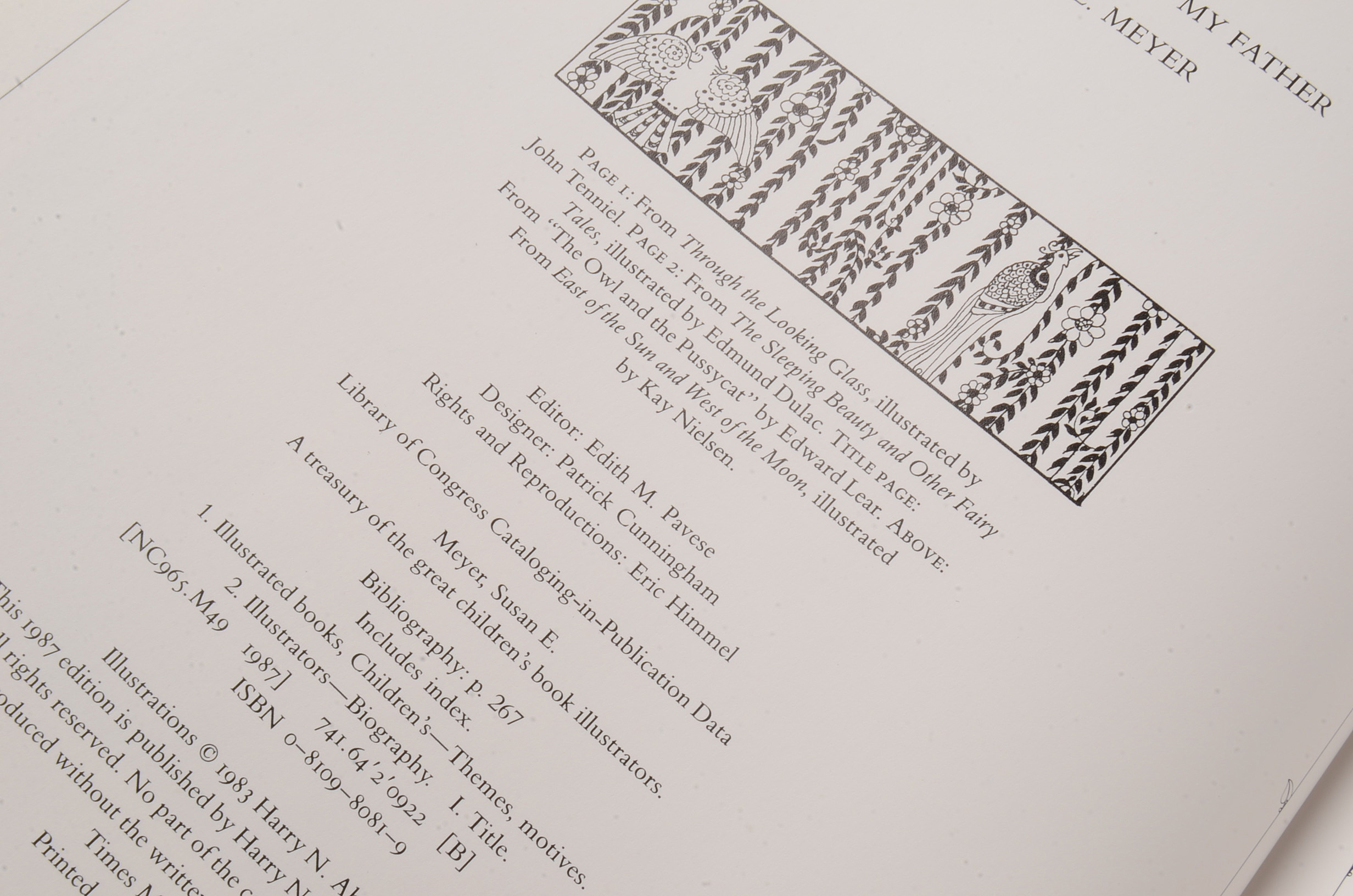 Oversized Coffee Table and Illustration Books