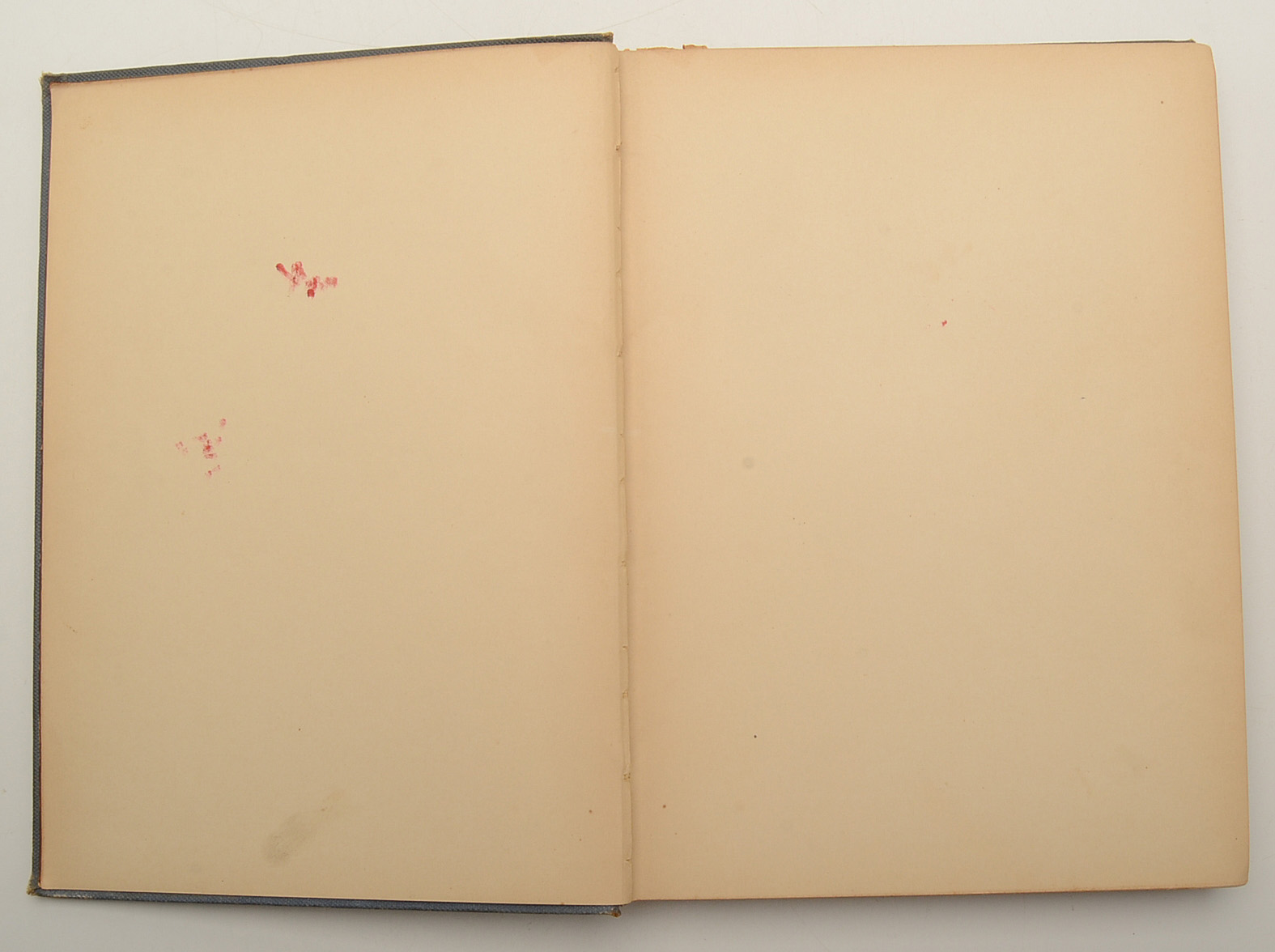 1885 "City Ballads" Illustrated Hardcover