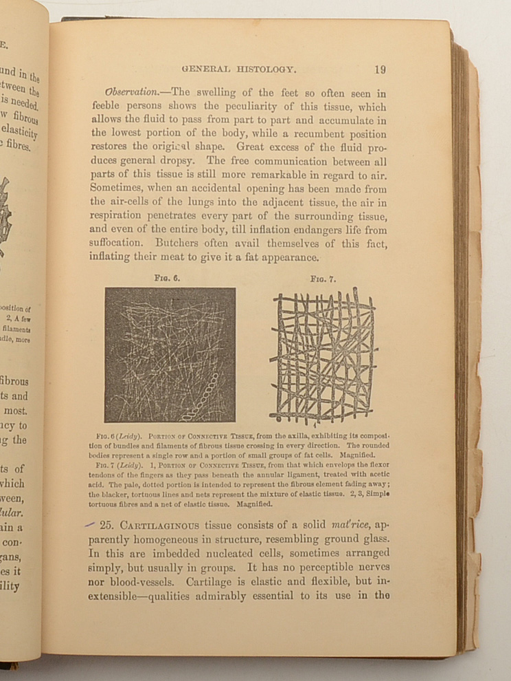 Pair of Antique Anatomy Books by Calvin Cutter MD