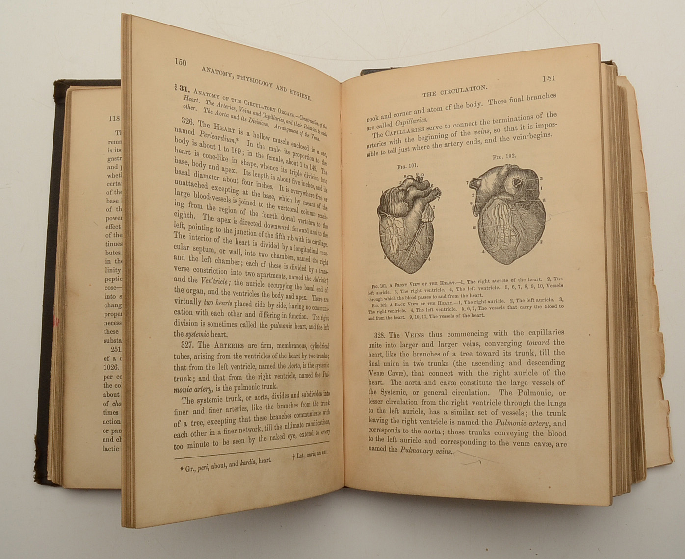 Pair of Antique Anatomy Books by Calvin Cutter MD