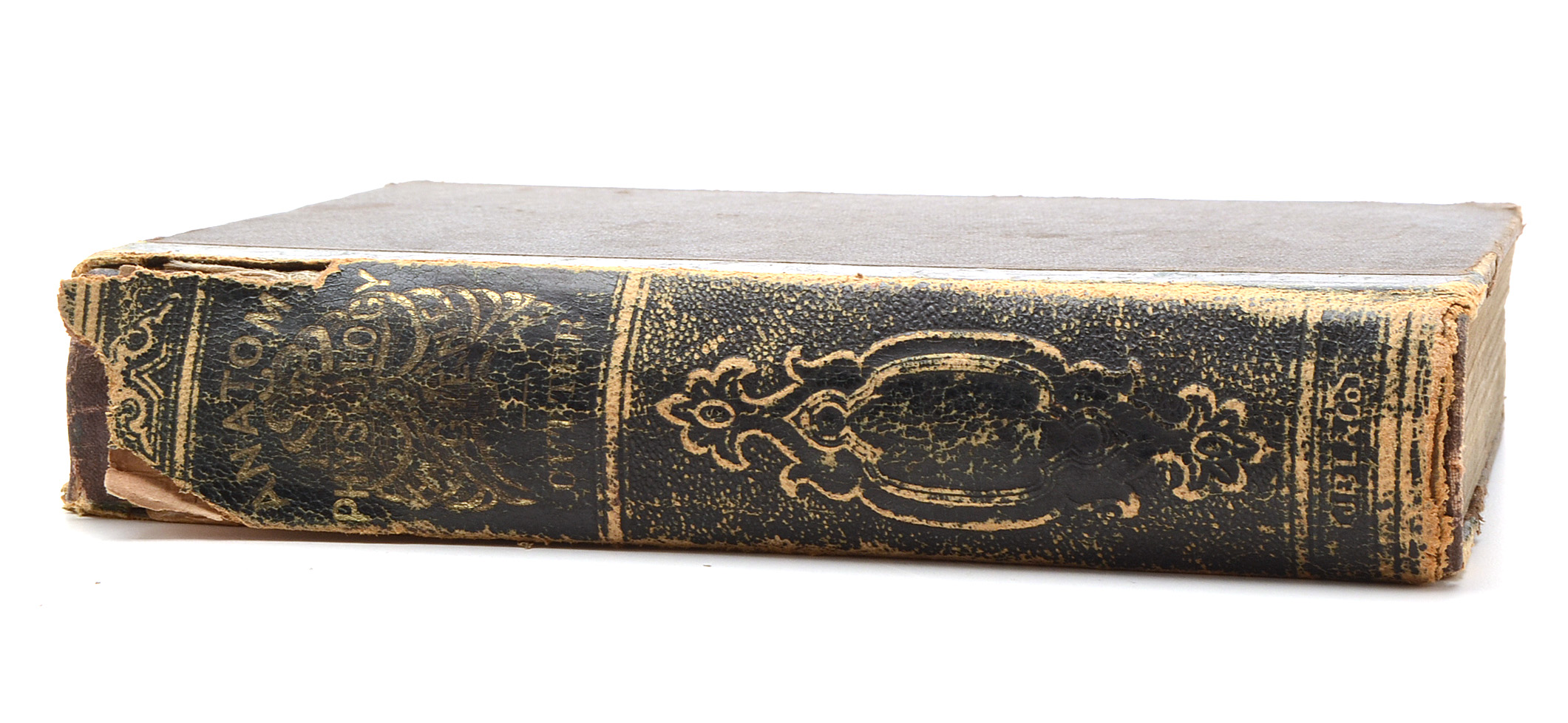 Pair of Antique Anatomy Books by Calvin Cutter MD