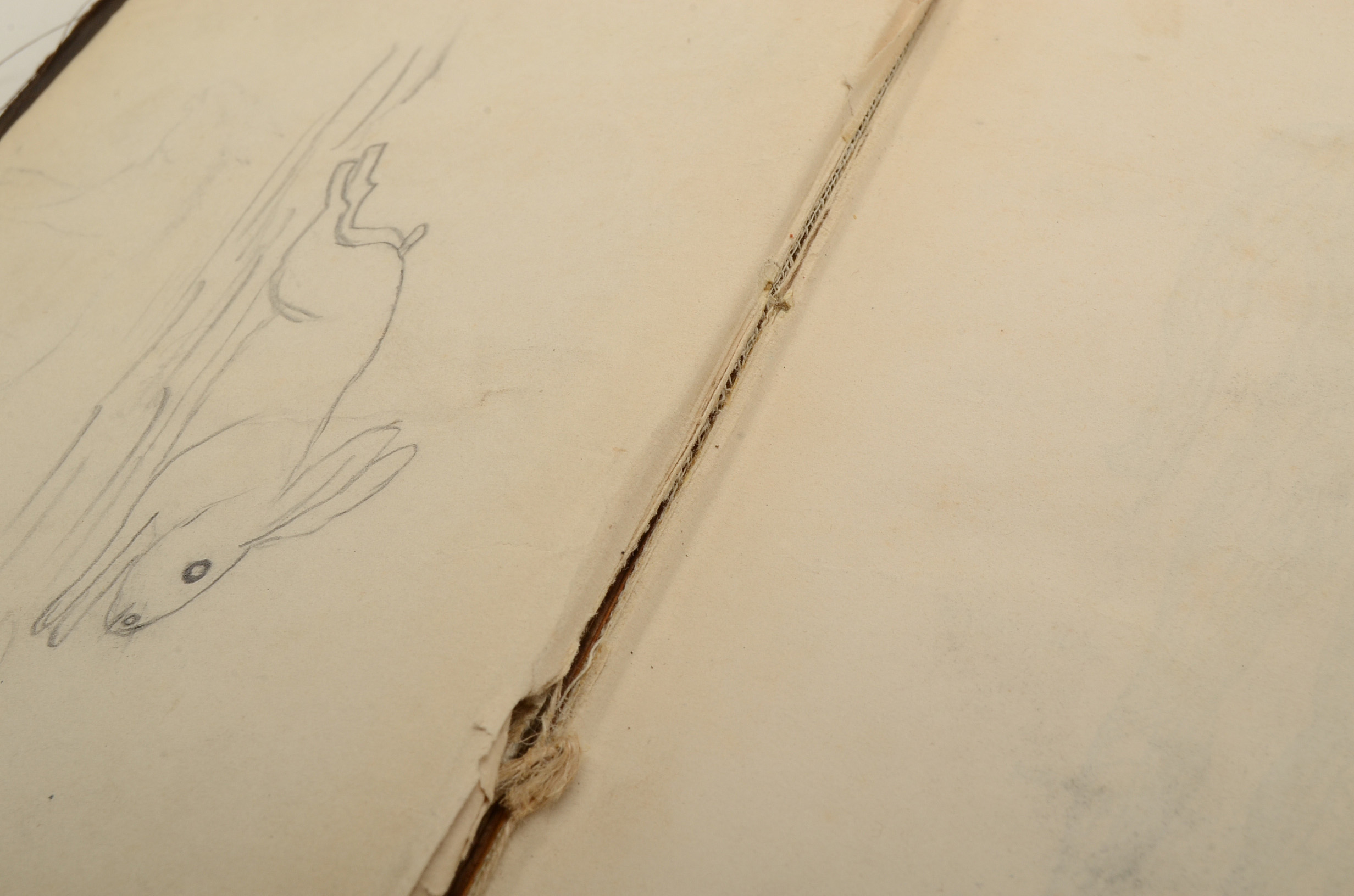 Pair of Antique Anatomy Books by Calvin Cutter MD