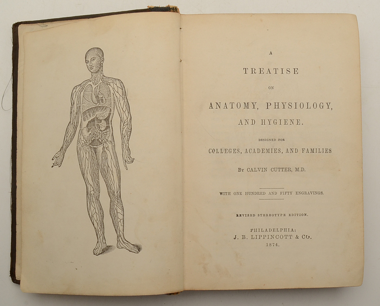 Pair of Antique Anatomy Books by Calvin Cutter MD