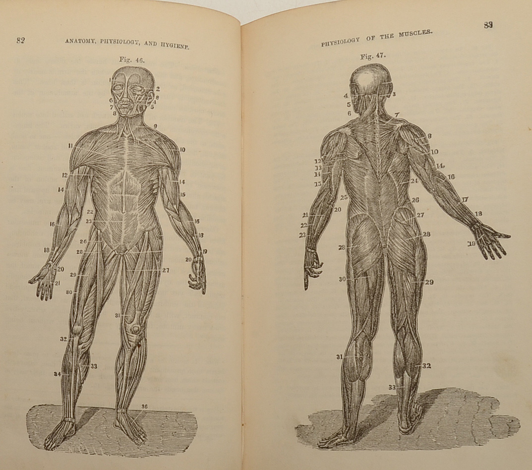 Pair of Antique Anatomy Books by Calvin Cutter MD